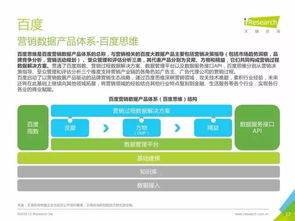 中國數據驅動型互聯網企業(yè)大數據產品研究報告 軟件外包服務的革新之路