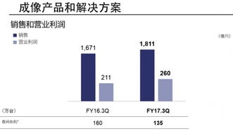 企業(yè)財務報告與互聯網數據中心 199it軟件外包服務的發(fā)展趨勢